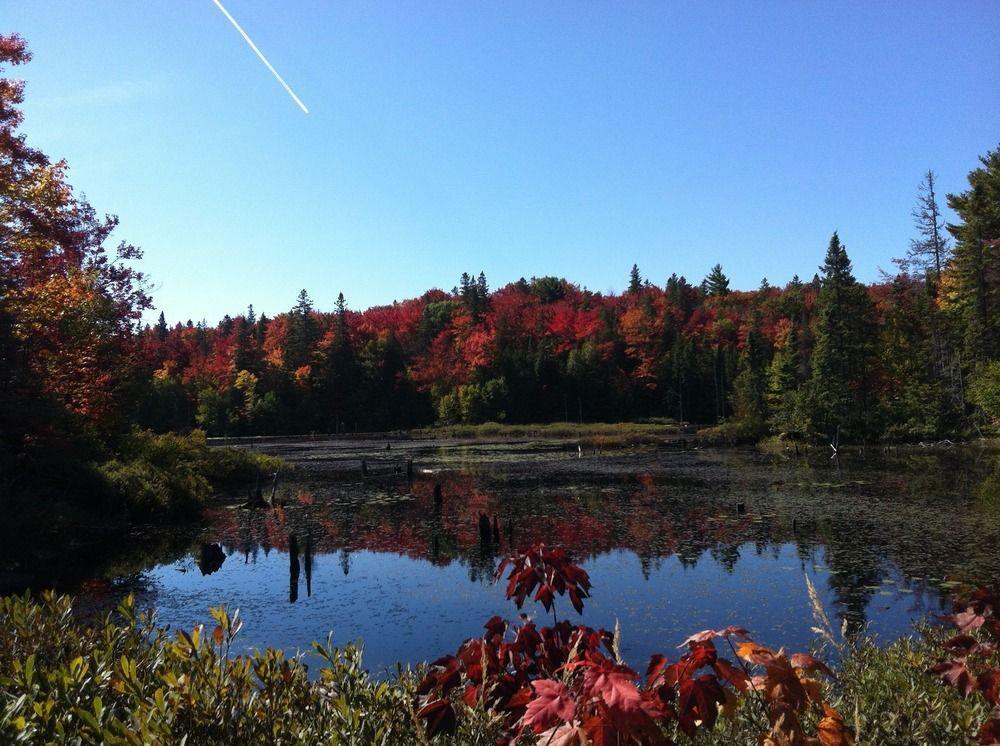 Glenview Cottages Sault Ste. Marie Bagian luar foto